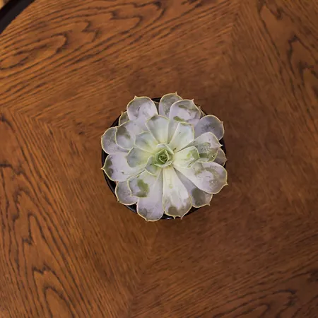 Krumlov Hotel Český Krumlov