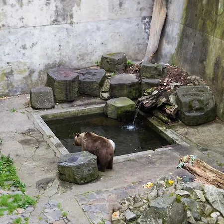 Krumlov 3* Český Krumlov