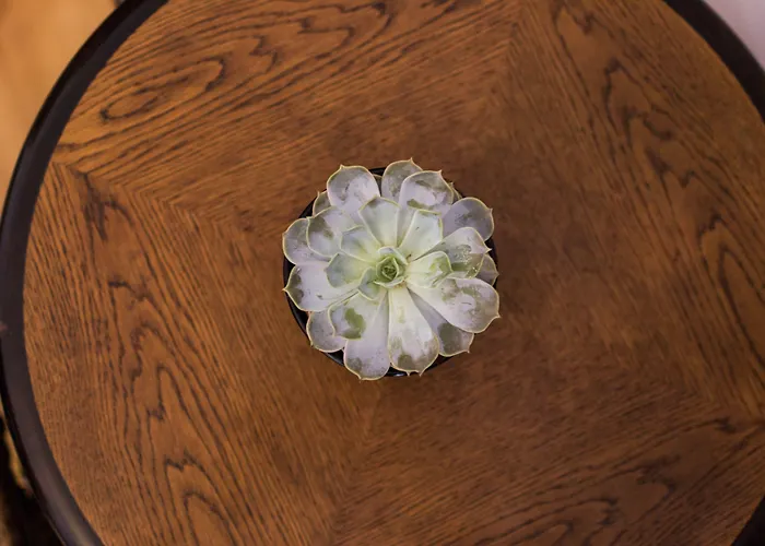 Krumlov Hotel Český Krumlov