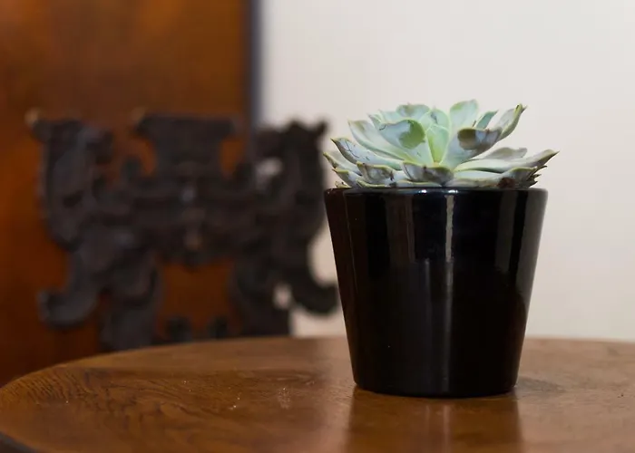 Szálloda Krumlov 3*