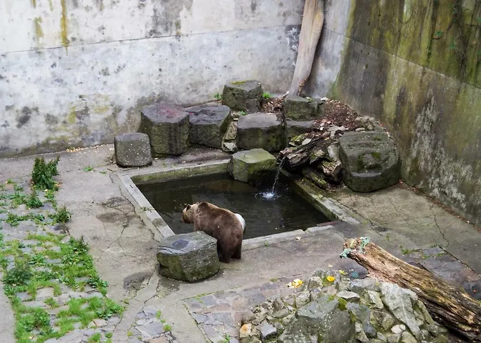 Krumlov 3* Český Krumlov